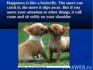 Happiness is like a butterfly. The more you catch it, the more it slips away. Bu