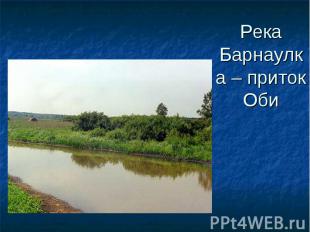 Река Барнаулка – приток Оби
