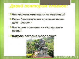 Давай повторим главное: Чем человек отличается от животных? Какие биологические