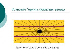 Иллюзия Геринга (иллюзия веера)
