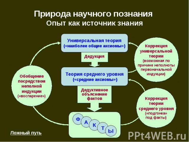 Природа научного познания Опыт как источник знания