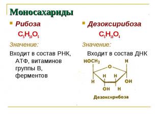 Рибоза Рибоза С5Н10О5 Значение: Входит в состав РНК, АТФ, витаминов группы В, фе