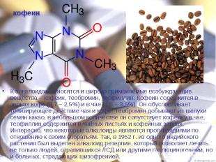 К алкалоидам относятся и широко применяемые возбуждающие вещества – кофеин, теоб