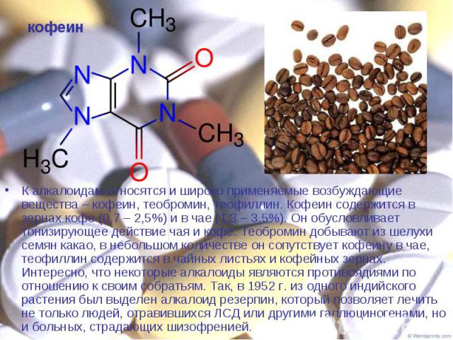 К алкалоидам относятся и широко применяемые возбуждающие вещества – кофеин, теобромин, теофиллин. Кофеин содержится в зернах кофе (0,7 – 2,5%) и в чае (1,3 – 3,5%). Он обусловливает тонизирующее действие чая и кофе. Теобромин добывают из шелухи семя…
