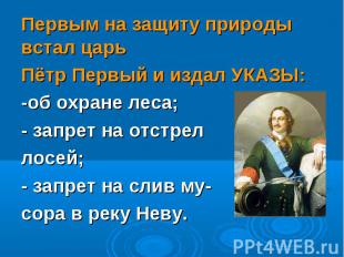 Первым на защиту природы встал царь Первым на защиту природы встал царь Пётр Пер