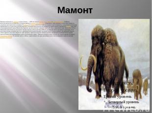 Мамонт Мамонты появились в плиоцене и жили 4,8&nbsp;млн.&nbsp;— 4500 лет назад в