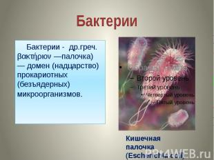 Бактерии Бактерии - др.греч. βακτήριον —палочка) — домен (надцарство) прокариотн