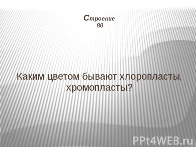 Строение 80 Каким цветом бывают хлоропласты, хромопласты?