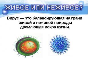 Вирус — это балансирующая на грани живой и неживой природы дремлющая искра жизни