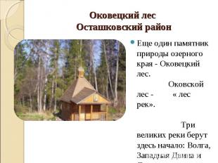 Еще один памятник природы озерного края - Оковецкий лес. Оковской лес - « лес ре