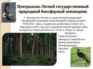 Центрально-Лесной государственный природный биосферный заповедник Единственный в
