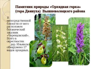 В непосредственной близости от него расположен ботанический заказник «Черенцовск