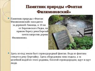 Памятник природы «Фонтан Филимоновский» находится за деревней Ловница, в 10 км о