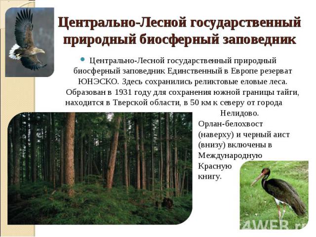 Центрально-Лесной государственный природный биосферный заповедник Единственный в Европе резерват ЮНЭСКО. Здесь сохранились реликтовые еловые леса. Образован в 1931 году для сохранения южной границы тайги, находится в Тверской области, в 50 км к севе…