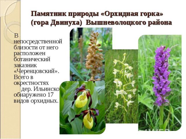В непосредственной близости от него расположен ботанический заказник «Черенцовский». Всего в окрестностях дер. Ильинское обнаружено 17 видов орхидных. В непосредственной близости от него расположен ботанический заказник «Черенцовский». Всего в окрес…