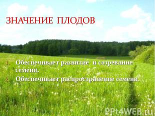 Обеспечивает развитие и созревание семени. Обеспечивает развитие и созревание се