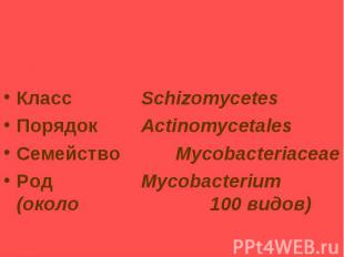Таксономия и классификация микобактерий туберкулеза (МБТ) Класс Schizomycetes По
