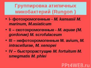Группировка атипичных микобактерий (Rungon ) I- фотохромогенные - M. kansasii M.