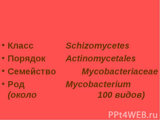 Таксономия и классификация микобактерий туберкулеза (МБТ) Класс Schizomycetes Порядок Actinomycetales Семейство Mycobacteriaceae Род Mycobacterium (около 100 видов)