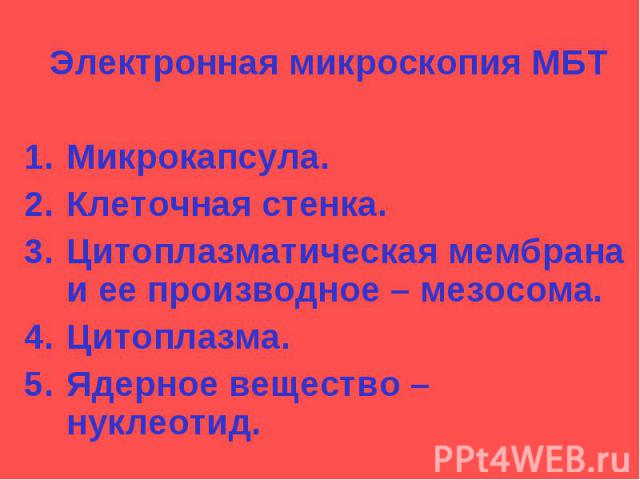 Электронная микроскопия МБТ Микрокапсула. Клеточная стенка. Цитоплазматическая мембрана и ее производное – мезосома. Цитоплазма. Ядерное вещество – нуклеотид.