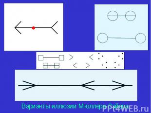 Варианты иллюзии Мюллера-Лайера Варианты иллюзии Мюллера-Лайера