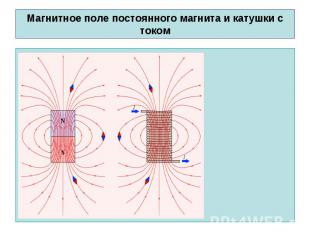 Магнитное поле постоянного магнита и катушки с током