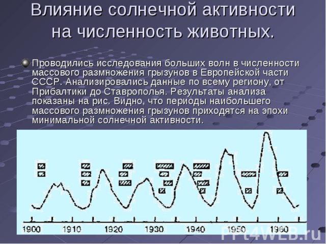Проводились исследования больших волн в численности массового размножения грызунов в Европейской части СССР. Анализировались данные по всему региону, от Прибалтики до Ставрополья. Результаты анализа показаны на рис. Видно, что периоды наибольшего ма…