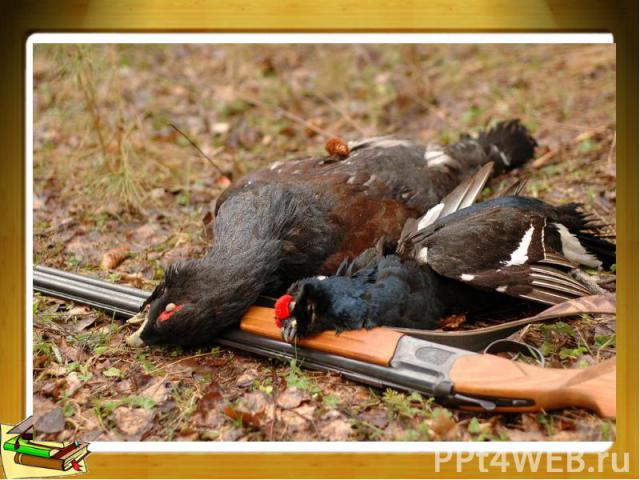 Дичь - добываемые охотой птицы и звери, мясо которых употребляется в пищу.
