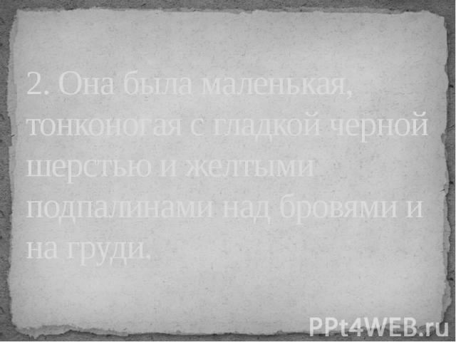 2. Она была маленькая, тонконогая с гладкой черной шерстью и желтыми подпалинами над бровями и на груди.