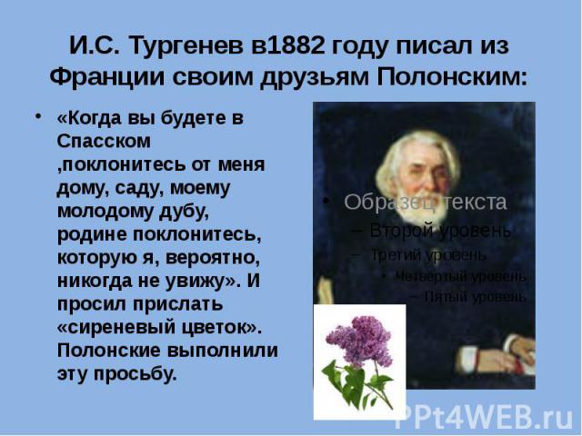И.С. Тургенев в1882 году писал из Франции своим друзьям Полонским: «Когда вы будете в Спасском ,поклонитесь от меня дому, саду, моему молодому дубу, родине поклонитесь, которую я, вероятно, никогда не увижу». И просил прислать «сиреневый цветок». По…