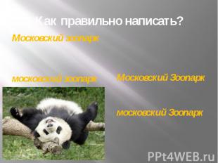 Как правильно написать? Московский зоопарк московский зоопарк