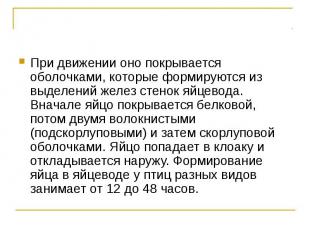 При движении оно покрывается оболочками, которые формируются из выделений желез