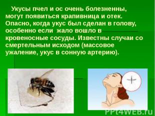 Укусы пчел и ос очень болезненны, могут появиться крапивница и отек. Опасно, ког