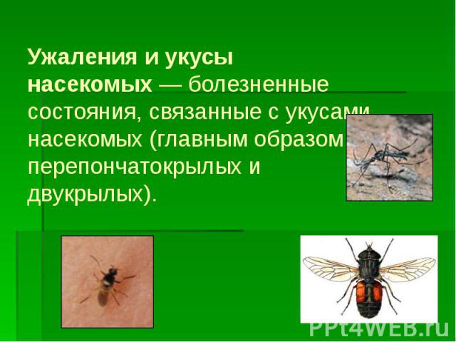 Ужаления и укусы насекомых — болезненные состояния, связанные с укусами насекомых (главным образом перепончатокрылых и двукрылых).