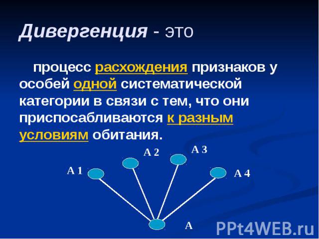 Дивергенция - это процесс расхождения признаков у особей одной систематической категории в связи с тем, что они приспосабливаются к разным условиям обитания.