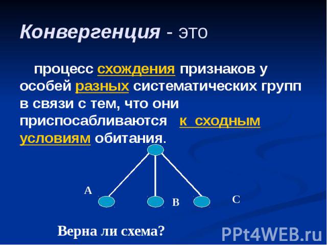 Конвергенция - это процесс схождения признаков у особей разных систематических групп в связи с тем, что они приспосабливаются к сходным условиям обитания.