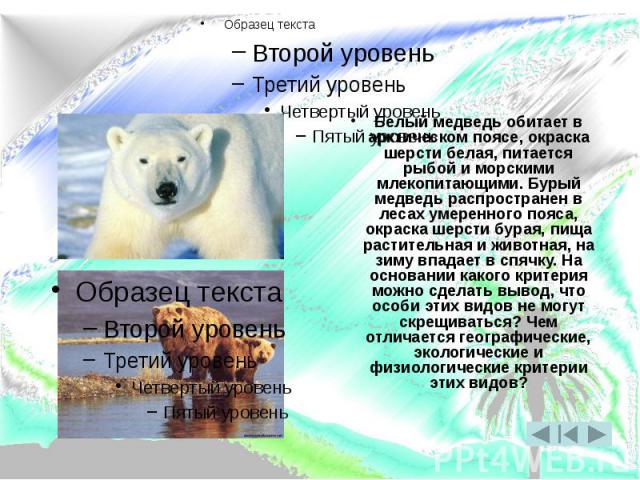 Белый медведь обитает в арктическом поясе, окраска шерсти белая, питается рыбой и морскими млекопитающими. Бурый медведь распространен в лесах умеренного пояса, окраска шерсти бурая, пища растительная и животная, на зиму впадает в спячку. На основан…