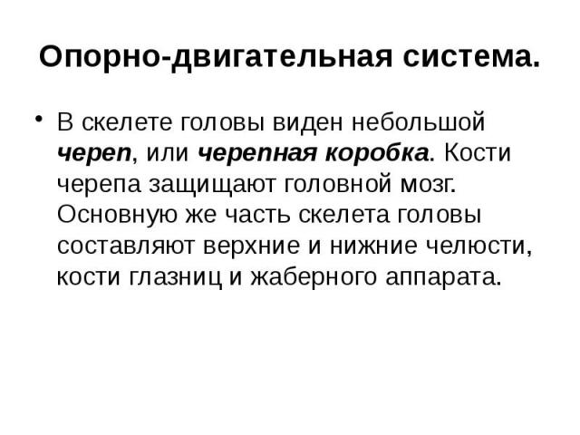 Опорно-двигательная система. В скелете головы виден небольшой череп, или черепная коробка. Кости черепа защищают головной мозг. Основную же часть скелета головы составляют верхние и нижние челюсти, кости глазниц и жаберного аппарата.