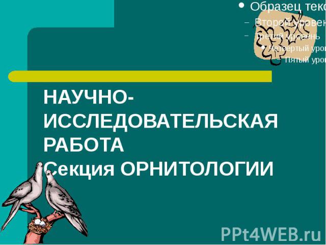 НАУЧНО-ИССЛЕДОВАТЕЛЬСКАЯ РАБОТА Секция ОРНИТОЛОГИИ