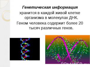 Генетическая информация хранится в каждой живой клетке организма в молекулах ДНК