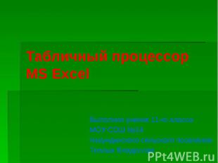 Табличный процессор MS Excel Выполнил ученик 11-го класса МОУ СОШ №14 Чекундинск