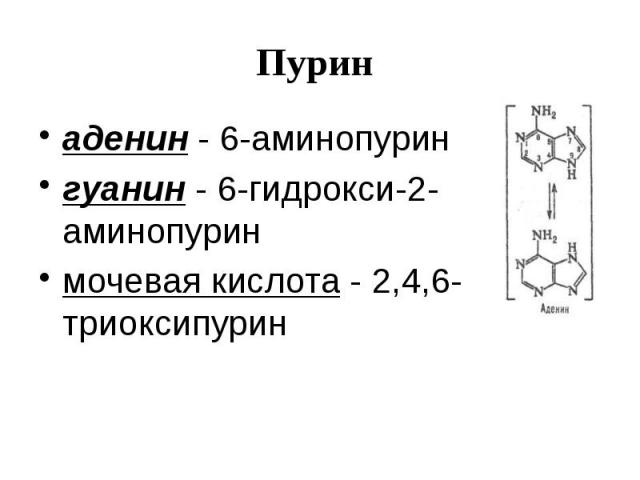 Пурин аденин - 6-аминопурин гуанин - 6-гидрокси-2-аминопурин мочевая кислота - 2,4,6-триоксипурин
