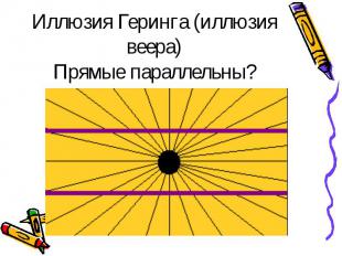 Иллюзия Геринга (иллюзия веера) Прямые параллельны?