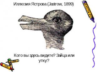Иллюзия Ястрова (Jastrow, 1899) Кого вы здесь видите? Зайца или утку?
