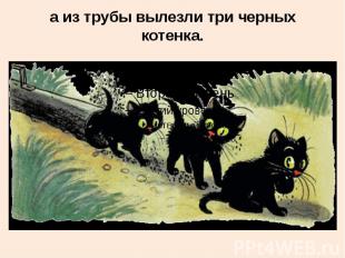 а из трубы вылезли три черных котенка.