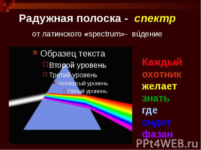 Радужная полоска - спектр от латинского «spectrum»- вúдение