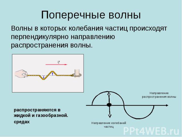 Поперечные волны Волны в которых колебания частиц происходят перпендикулярно направлению распространения волны.