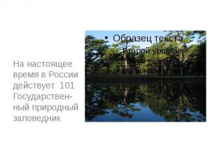 На настоящее время в России действует 101 Государствен-ный природный заповедник&