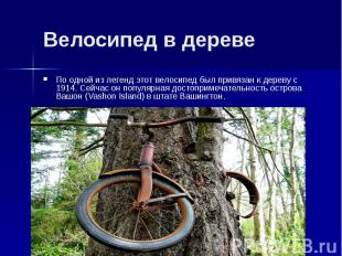 Велосипед в дереве По одной из легенд этот велосипед был привязан к дереву с 191