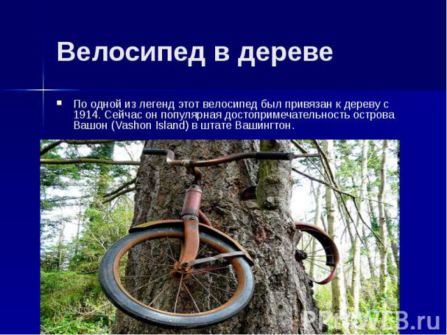 Велосипед в дереве По одной из легенд этот велосипед был привязан к дереву с 1914. Сейчас он популярная достопримечательность острова Вашон (Vashon Island) в штате Вашингтон.